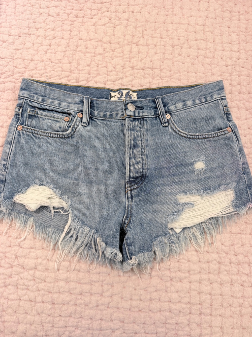 Frayed Jean Shorts